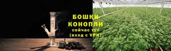 ПСИЛОЦИБИНОВЫЕ ГРИБЫ Бородино