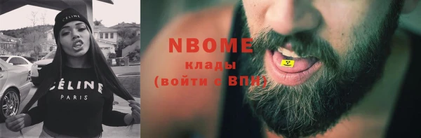 ПСИЛОЦИБИНОВЫЕ ГРИБЫ Бородино