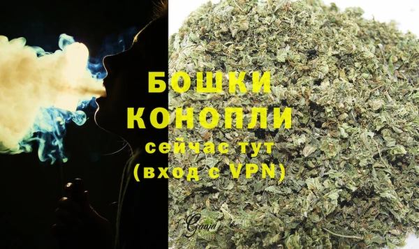 ПСИЛОЦИБИНОВЫЕ ГРИБЫ Бородино