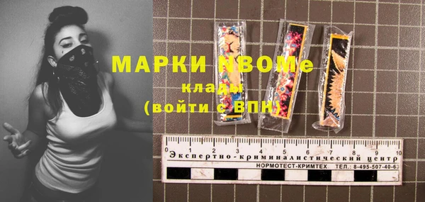 ПСИЛОЦИБИНОВЫЕ ГРИБЫ Бородино