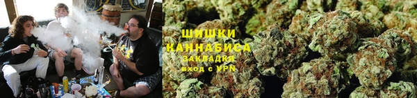 ПСИЛОЦИБИНОВЫЕ ГРИБЫ Бородино