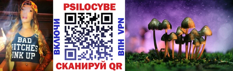Псилоцибиновые грибы GOLDEN TEACHER  где найти   гидра зеркало  Городовиковск 